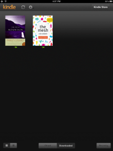 Pinned books that you can read those offline